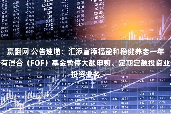 赢翻网 公告速递：汇添富添福盈和稳健养老一年持有混合（FOF）基金暂停大额申购、定期定额投资业务