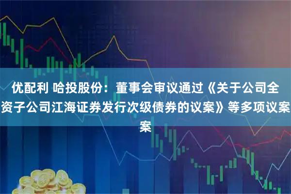 优配利 哈投股份:董事会审议通过《关于公司全资子公司江海证券发行次级债券的议案》等多项议案