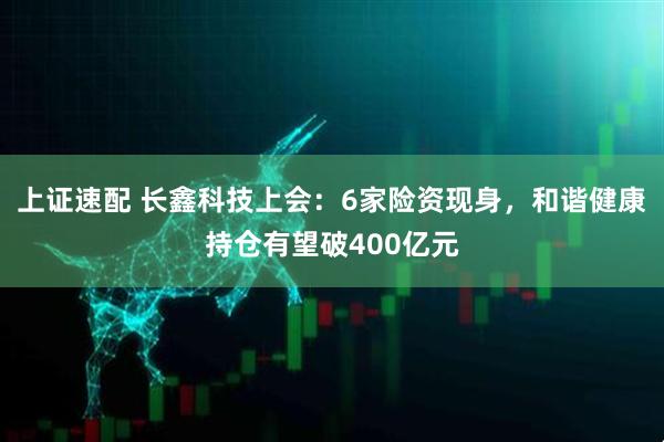 上证速配 长鑫科技上会：6家险资现身，和谐健康持仓有望破400亿元