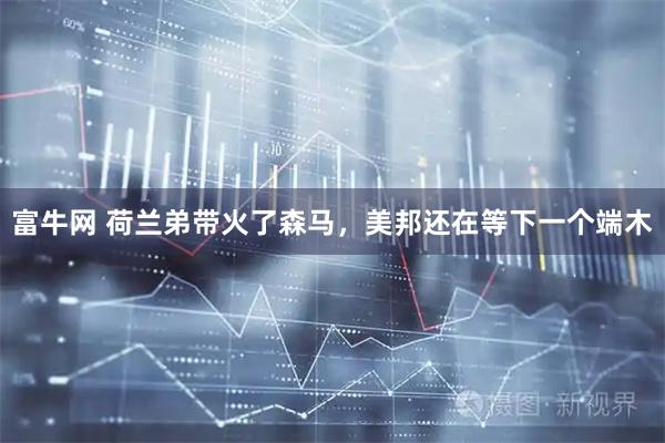 富牛网 荷兰弟带火了森马，美邦还在等下一个端木